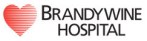brandywinehospital hospital SEO