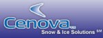 cenova snow removal company SEO