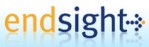endsight IT company SEO